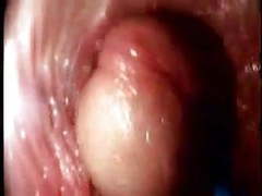 Close-up Porn Tubes